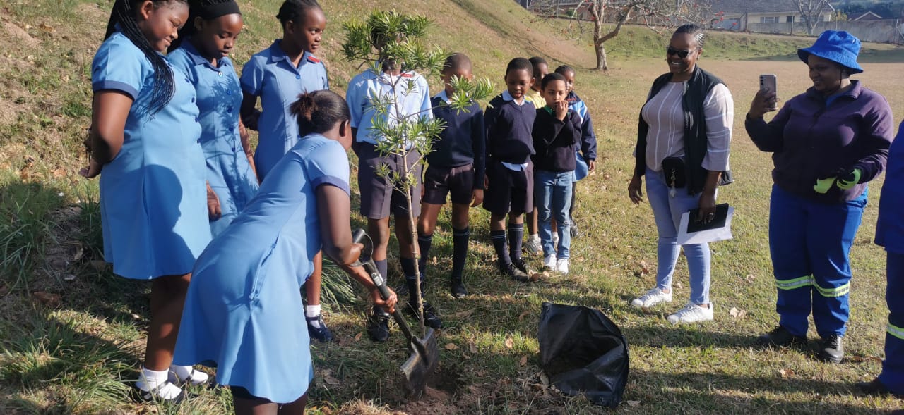 EMBD Tree Donation (1)