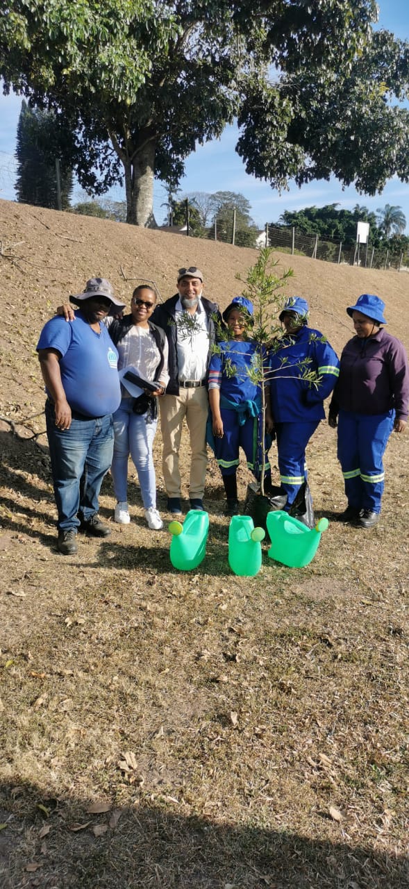 EMBD Tree Donation (2)