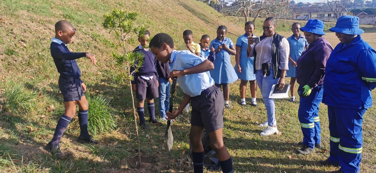 EMBD Tree Donation (4)