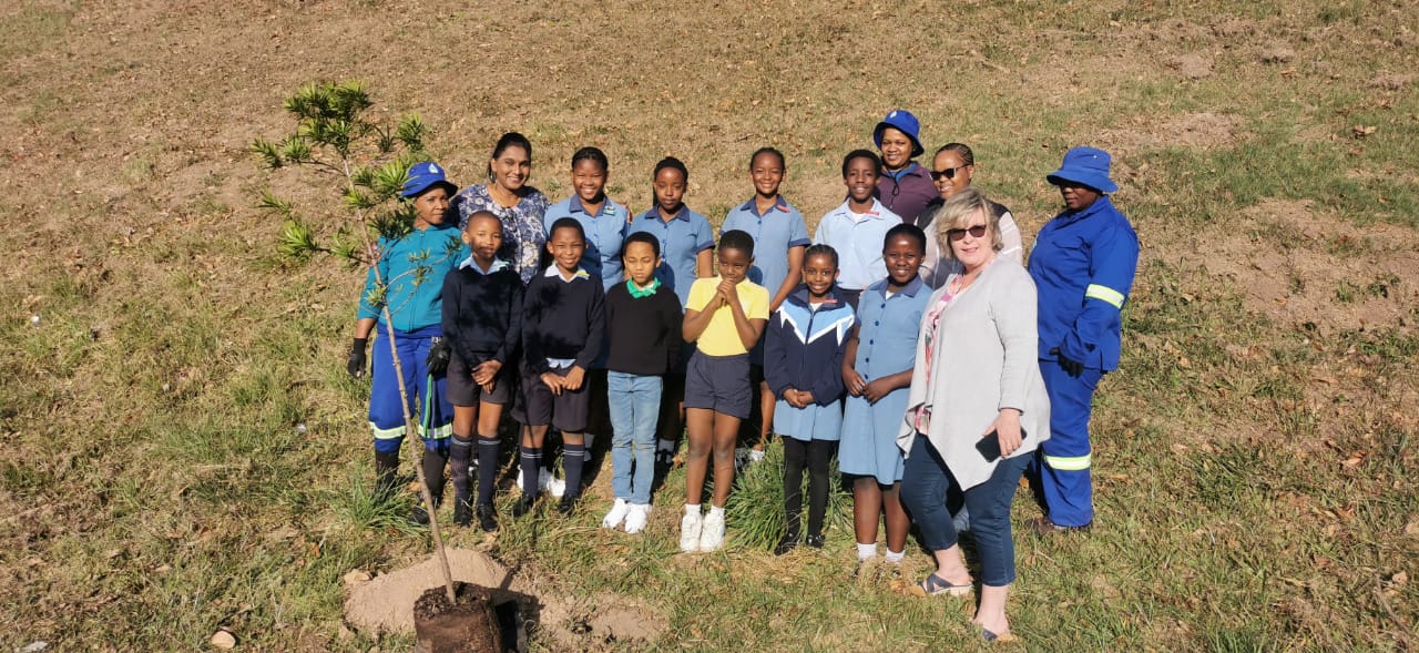 EMBD Tree Donation (5)