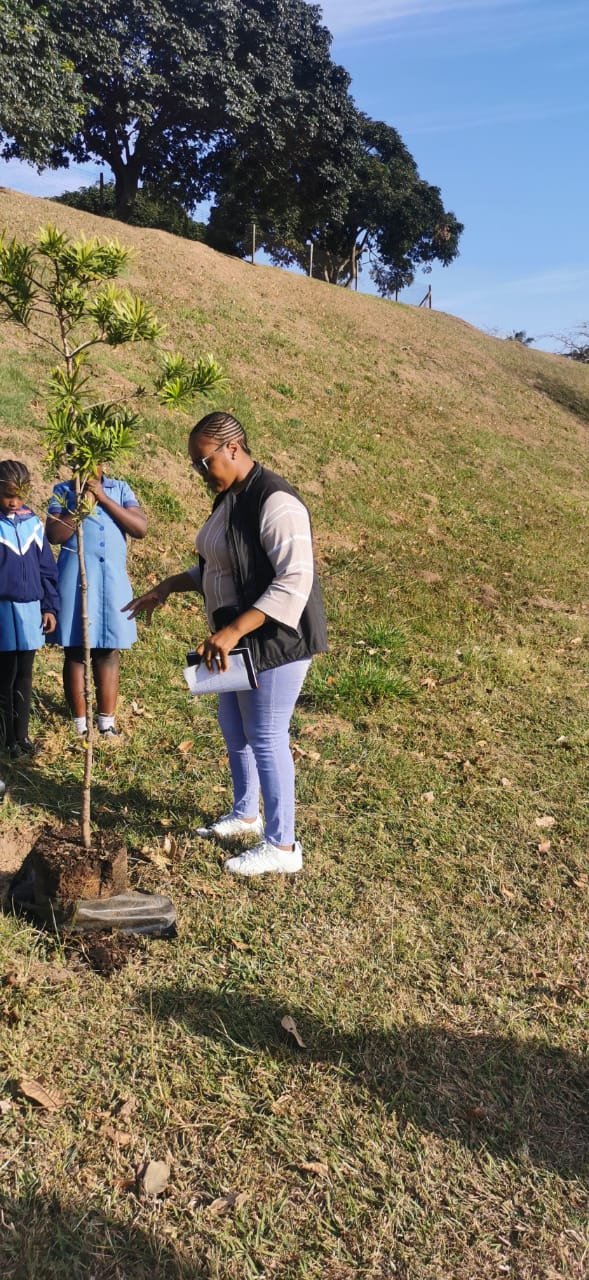 EMBD Tree Donation (6)