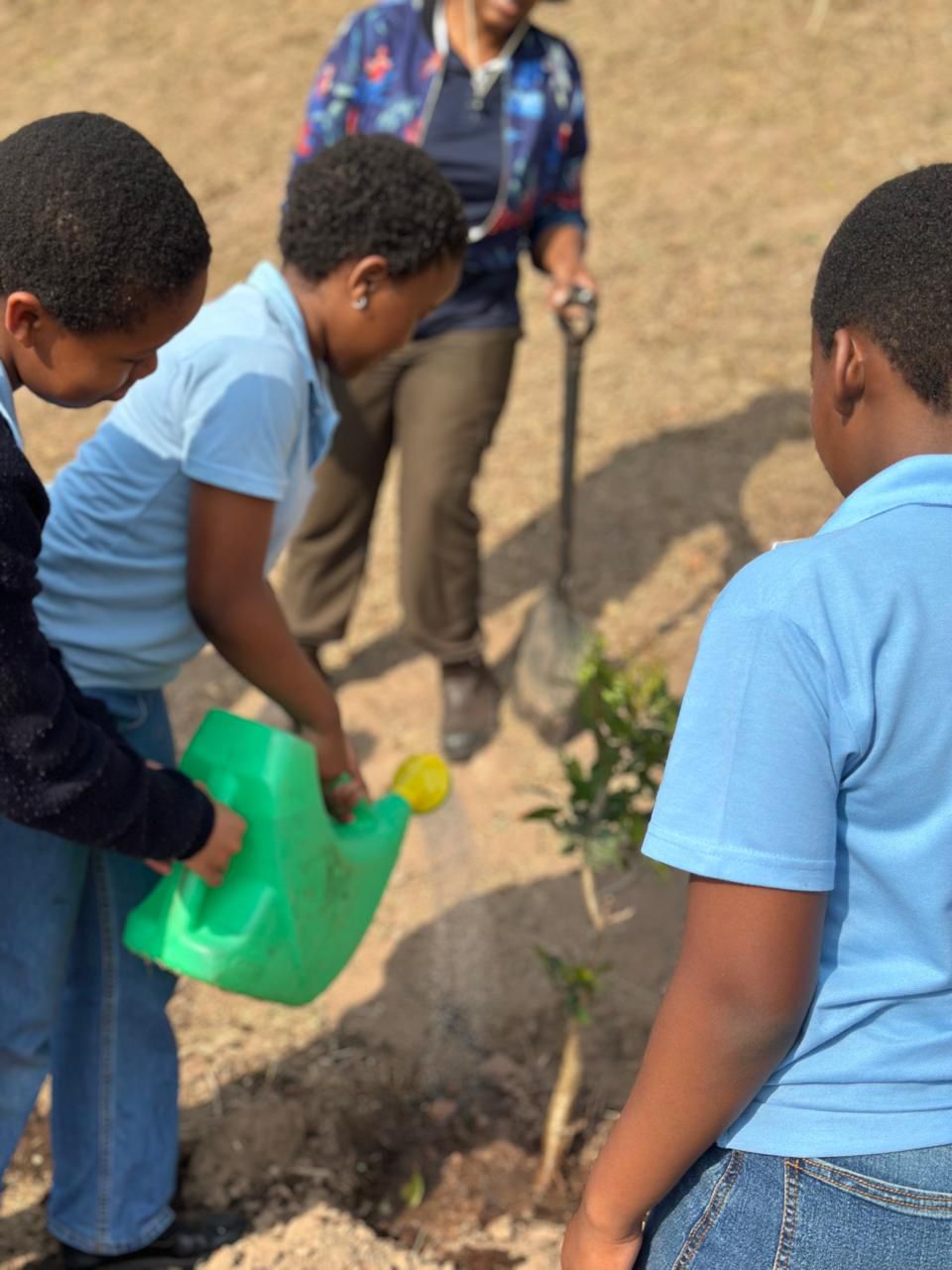 Indigenous Tree Donation (1)