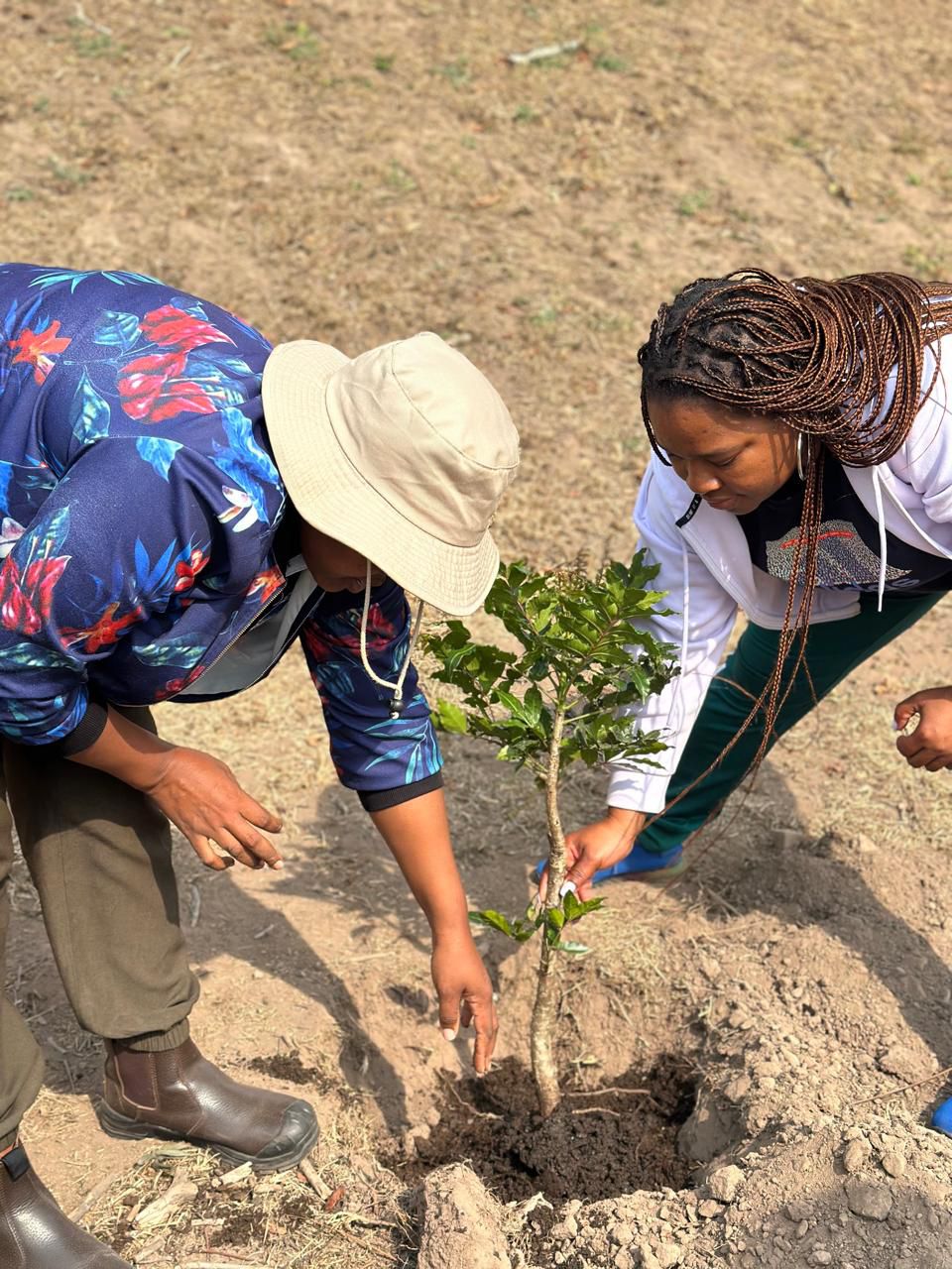 Indigenous Tree Donation (2)