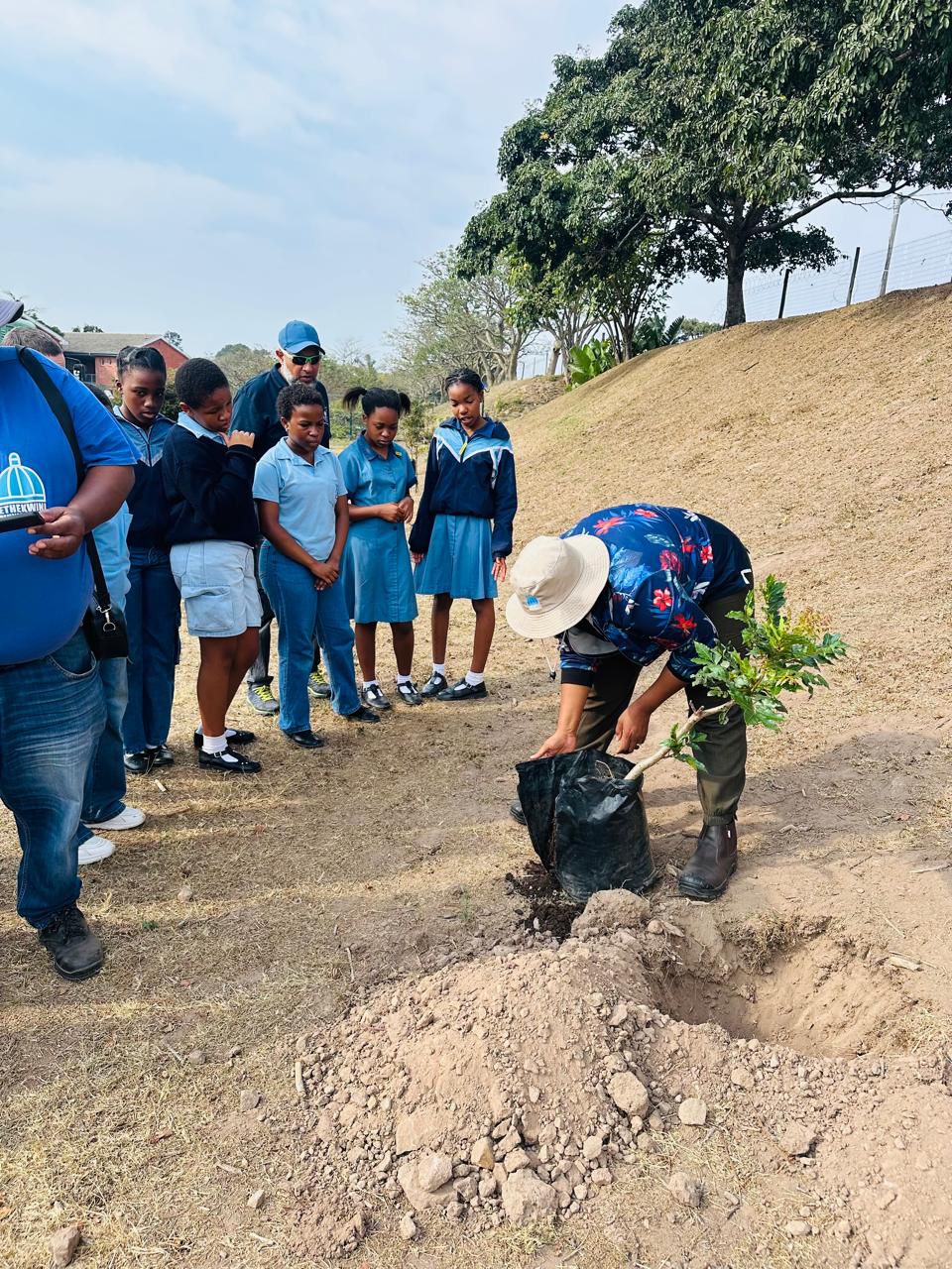 Indigenous Tree Donation (6)