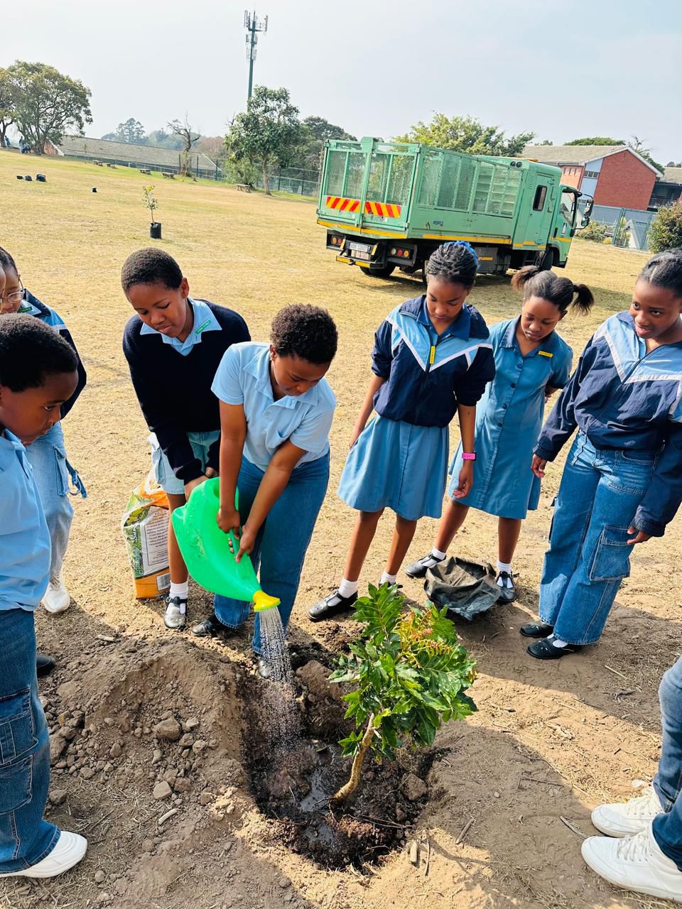 Indigenous Tree Donation (8)