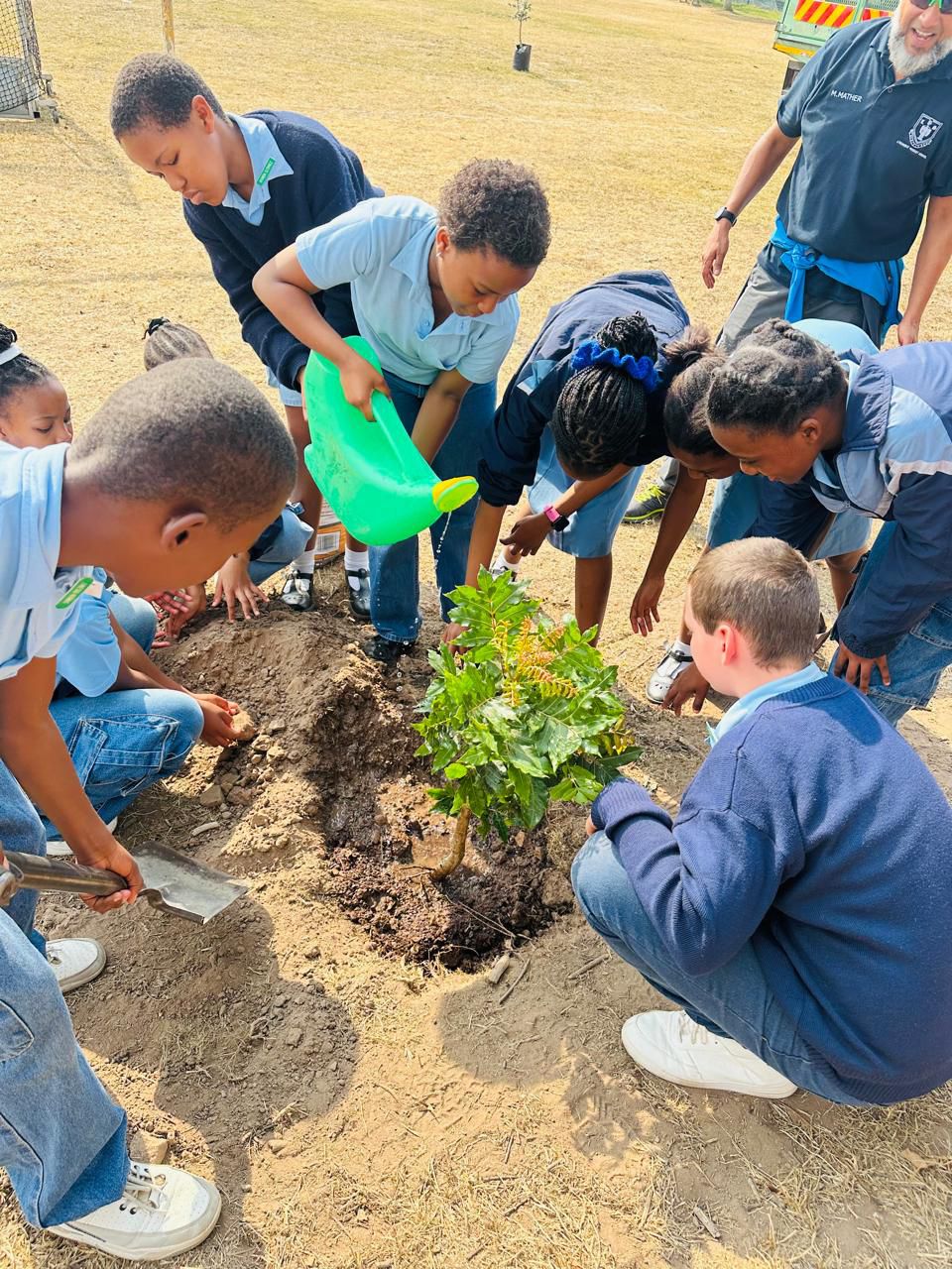 Indigenous Tree Donation (9)